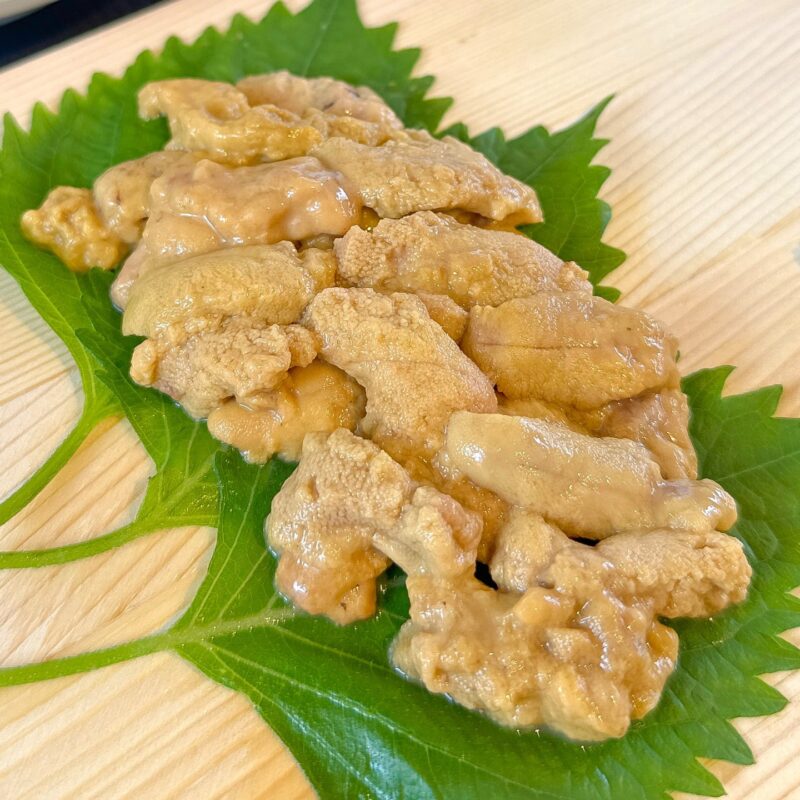 天草の深刻な磯焼け問題を解決したい！